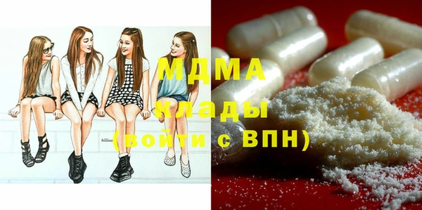 индика Нягань