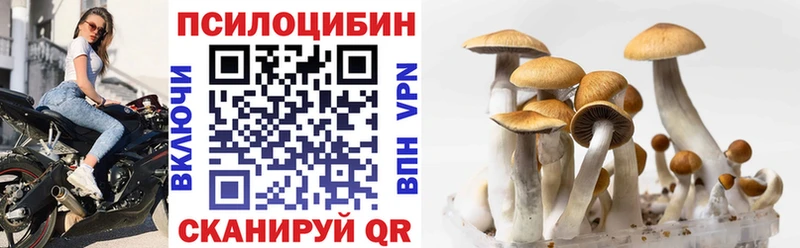 Псилоцибиновые грибы MAGIC MUSHROOMS  Лермонтов 